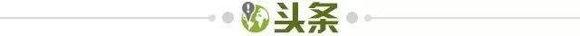星空体育官网下载入口-【早报】重返巅峰！勇士拿下最甜蜜一冠！